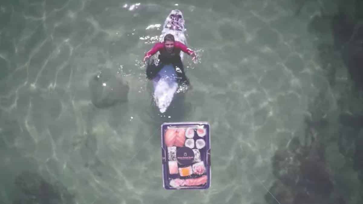 Alquiler de Drones en Bogota Este surfista recibió en medio del mar un domicilio de sushi.